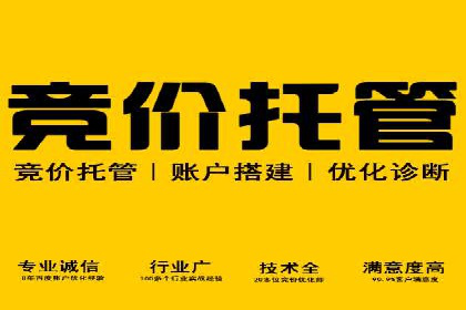 SEM推广案例：从无到有的转变
